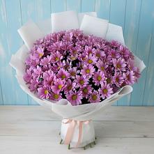 Букет цветов из:  Хризантемы в Никольском 1-ом