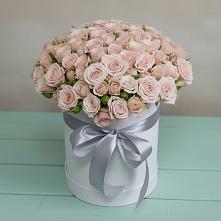 Цветочная композиция из Розы в шляпной коробке #REPLACE_PRED# Никольском 1-ом