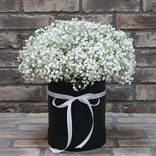 Цветочная композиция из Гипсофила в шляпной коробке в Никольском 1-ом