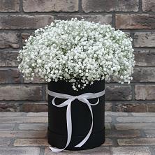 Цветочная композиция из Гипсофила в шляпной коробке в Никольском 1-ом